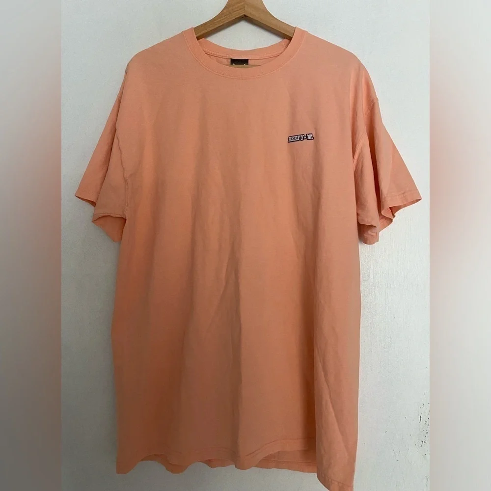 MENS LARGE HANES BEEFY TEE